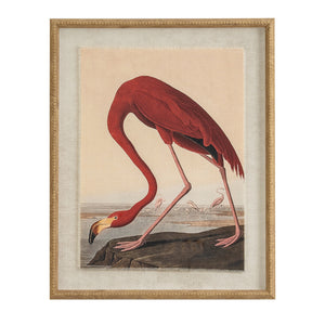 Flora & Fauna Collection Flamingo On Linen In Beaded Frame_3782