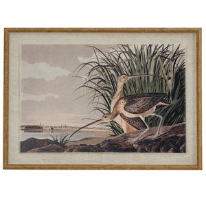 Flora & Fauna Collection Curlews On Linen In Beaded Frame_3775