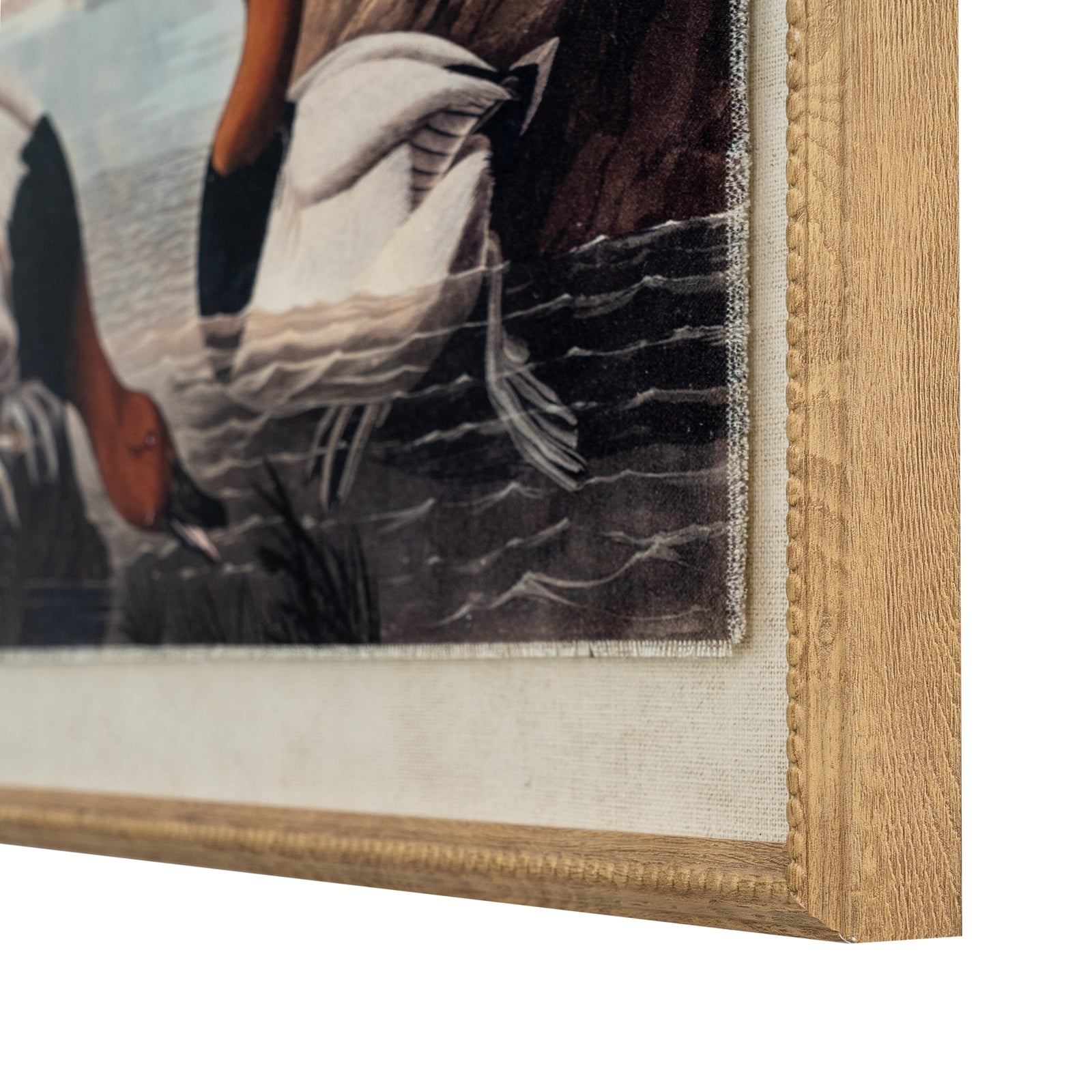 Flora & Fauna Collection Pochards On Linen In Beaded Frame_3799