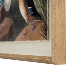 Flora & Fauna Collection Mallards On Linen In Beaded Frame_3792