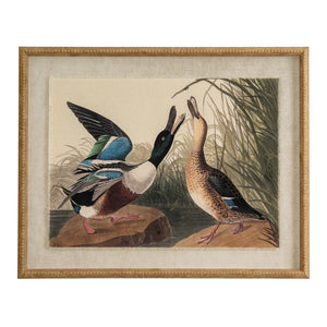 Flora & Fauna Collection Mallards On Linen In Beaded Frame_3791