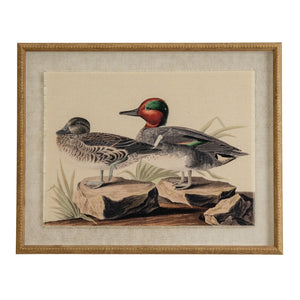 Flora & Fauna Collection Teals On Linen In Beaded Frame_3817