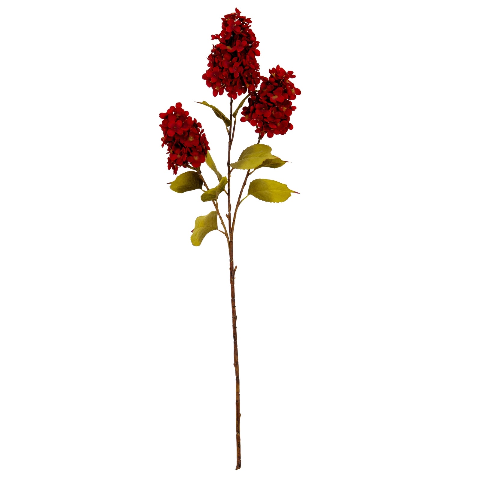 Dark Red Spear Hydrangea Spray_4727