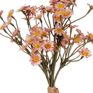 Daisy Bunch_5381