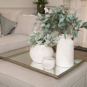 Astor Distressed Mirrored Tray With Wooden Detailing_1341