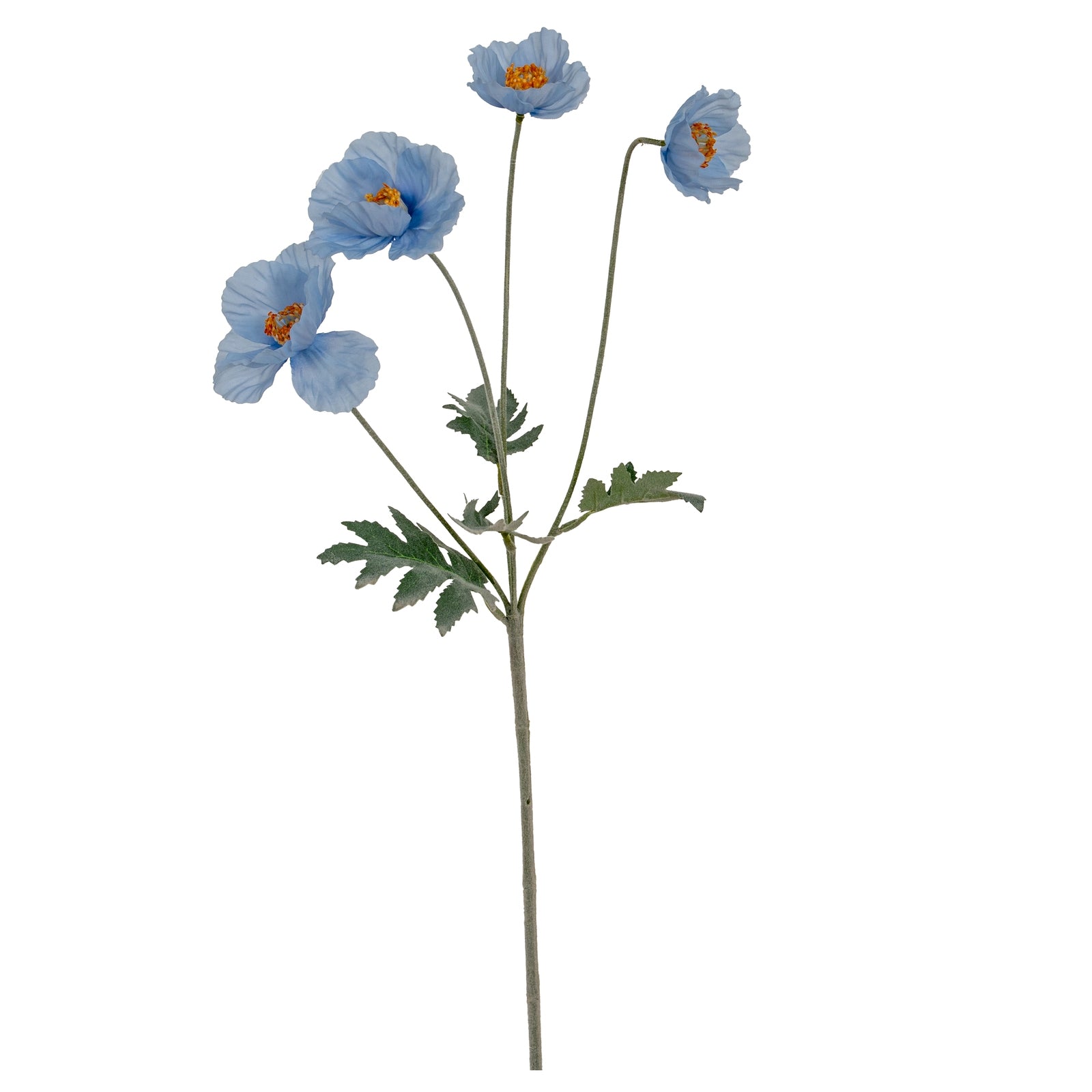 Blue Papaver Oppy Spray_4451