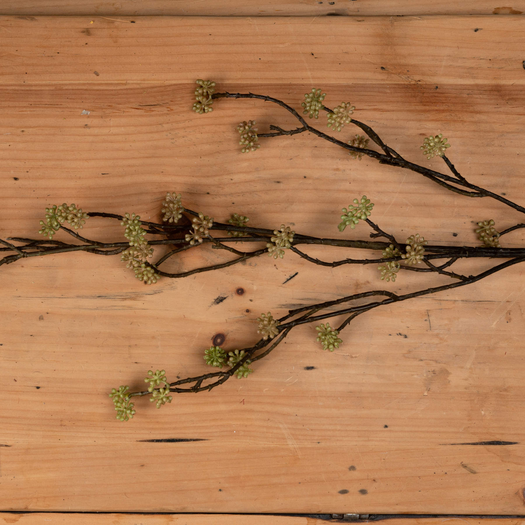 Branch in Bloom Filler_4482