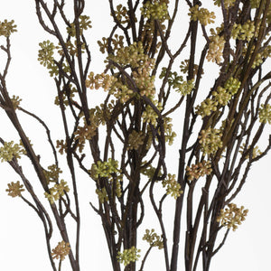 Branch in Bloom Filler_4485