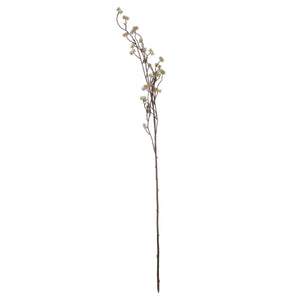 Branch in Bloom Filler_4484
