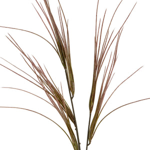 Brome Grass Spray_4491