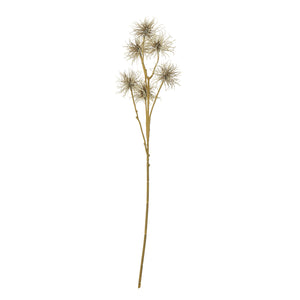 Xanthium Spray_4503