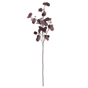 Burgundy Berried Eucalyptus_4514