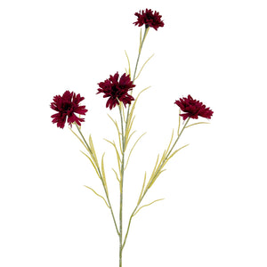 Blue Cornflower Stem_4519