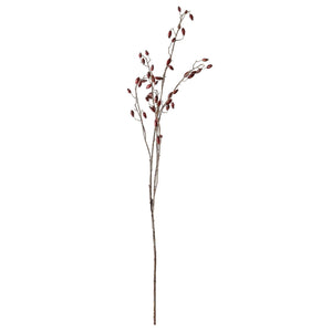 Burgundy Rosehip Stem_4533