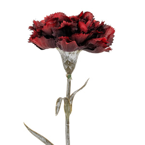 Carnation Stem_4518