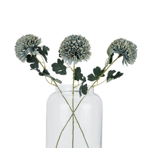 Pale Green Blue Chrysanthemum_5326
