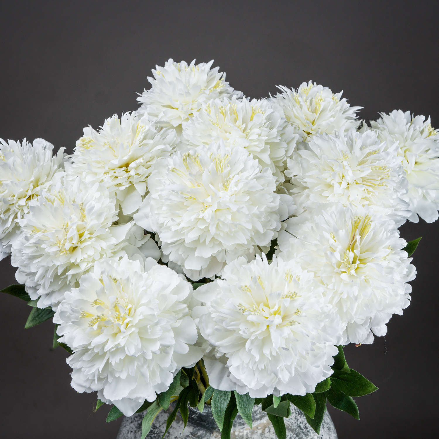 Classic White Peony_4575
