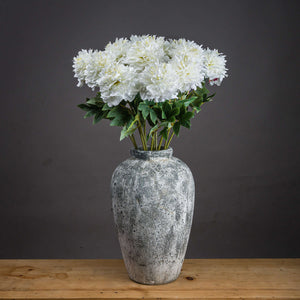 Classic White Peony_4574
