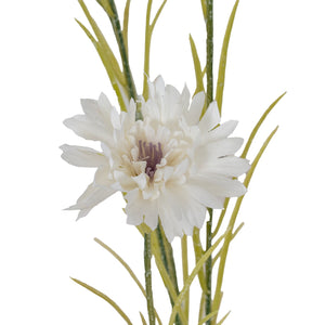Blue Cornflower Stem_5820