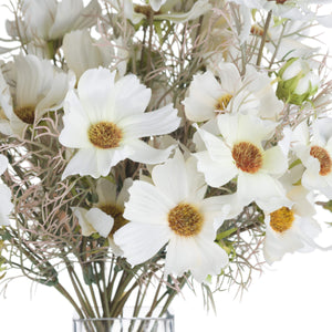 Cream Cosmos Spray_4615