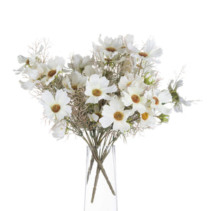 Cream Cosmos Spray_4613