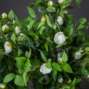 Cream Gardenia Stem_4623