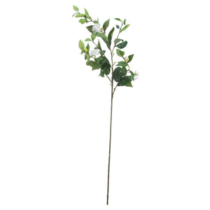Cream Gardenia Stem_4625