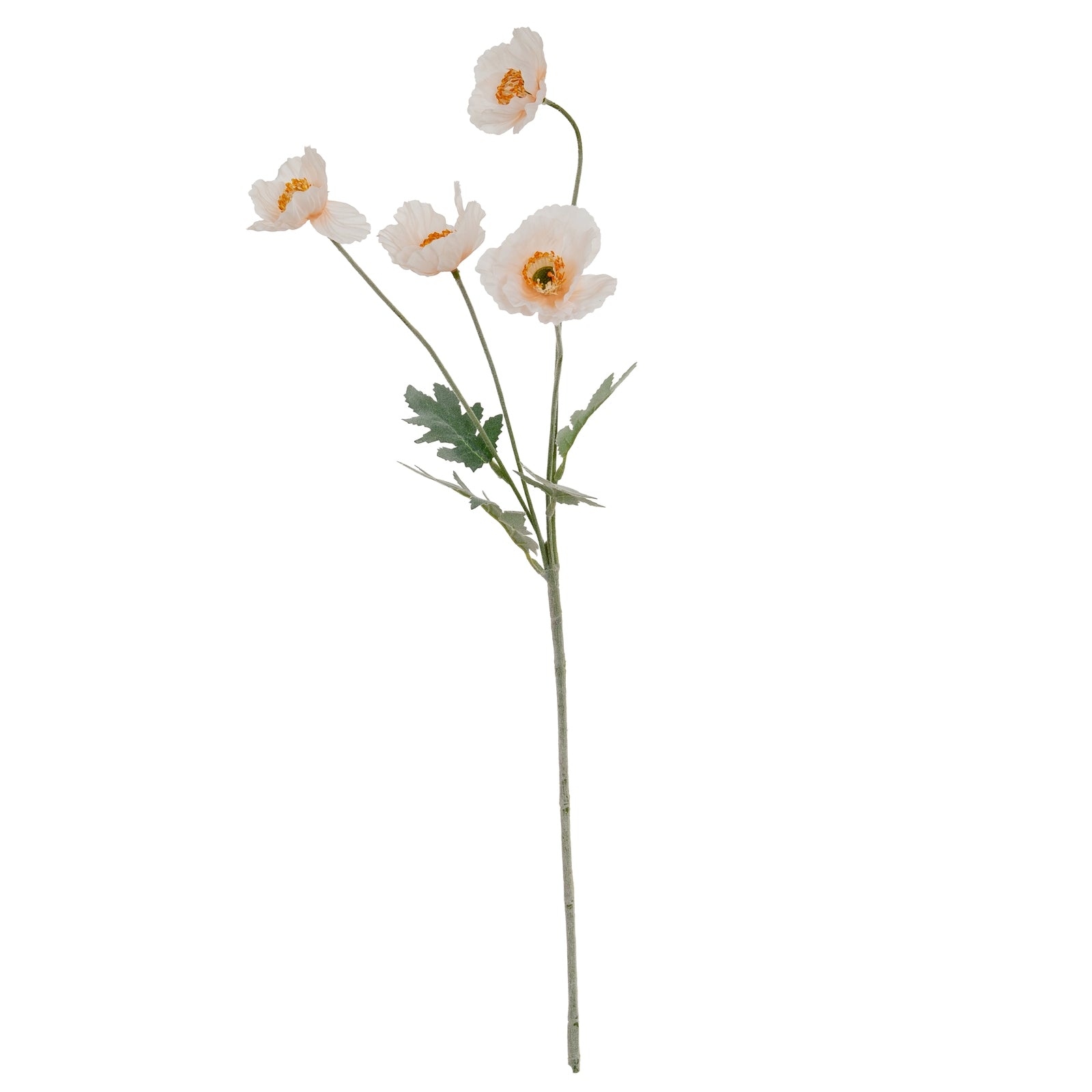 Cream Papaver Poppy Spray_4661