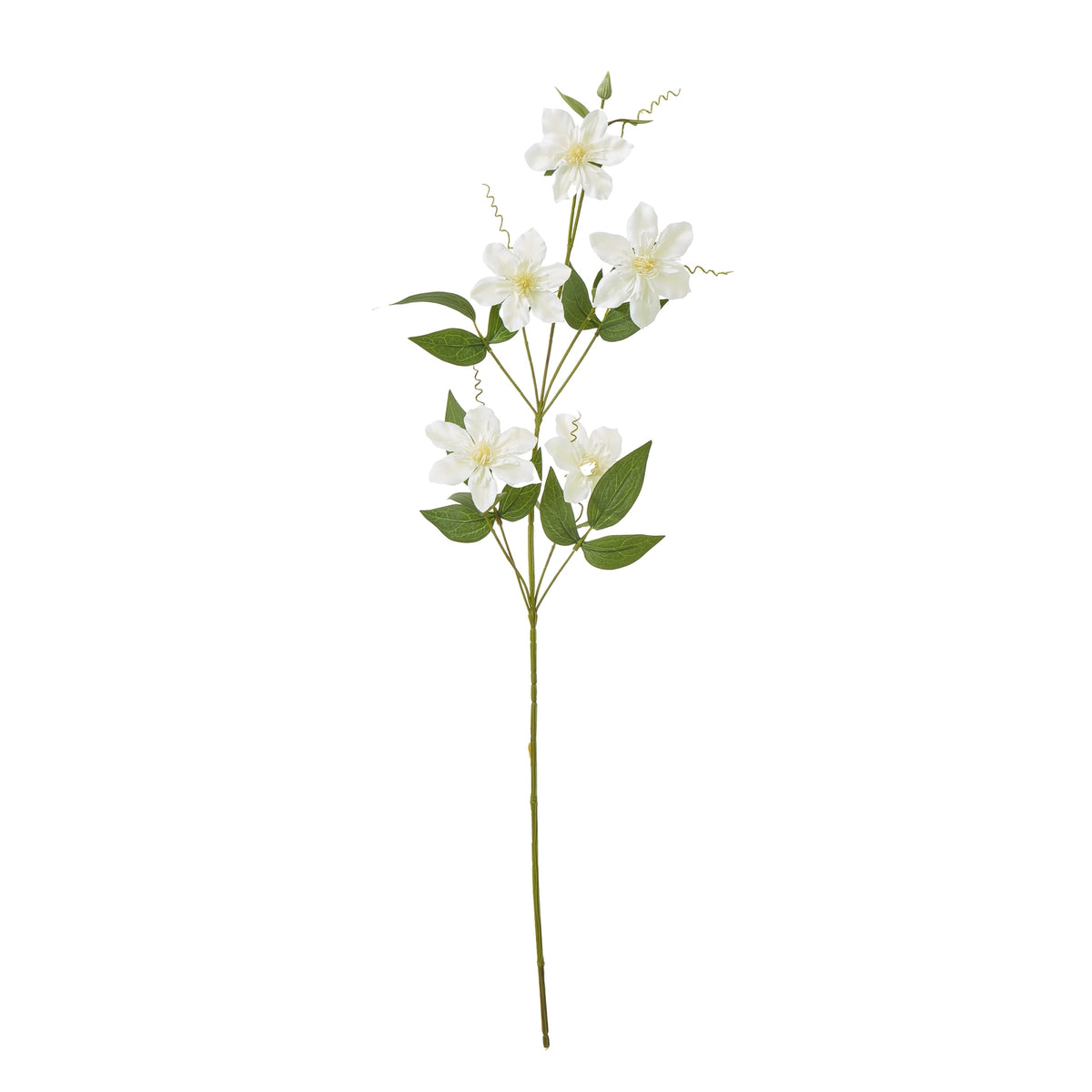 Cream Pearl Clematis Spray_4663