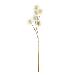 Xanthium Spray_4711