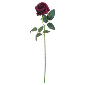 Deep Red Rose_4741