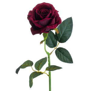 Deep Red Rose_4740