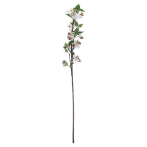 English Blossom Branch_4766