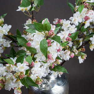 English Blossom Branch_4764