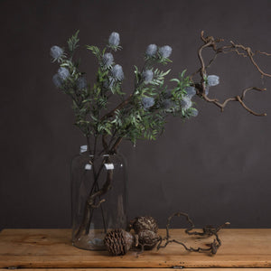 Eryngium Thistle_4768