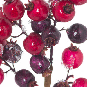 Fat Red Berry Pick_1683
