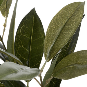 Faux Bay Leaf Spray_4799