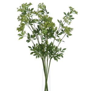 Faux Cow Parsley Ammi_4802