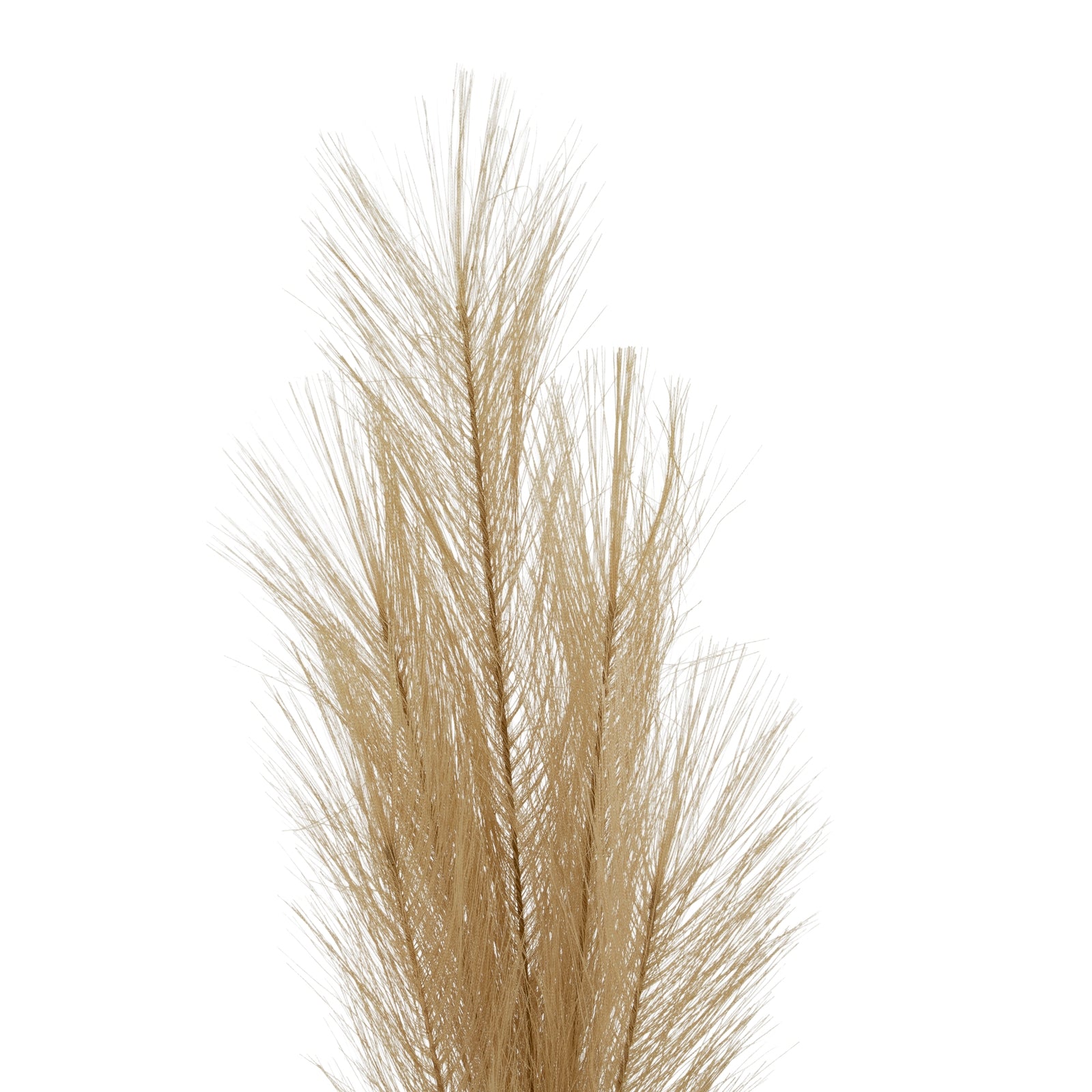 Faux Pampas Grass Stem_4809