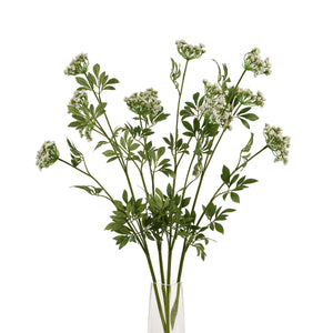 Faux White Cow Parsley Ammi_4815