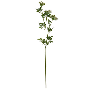 Faux White Cow Parsley Ammi_4814