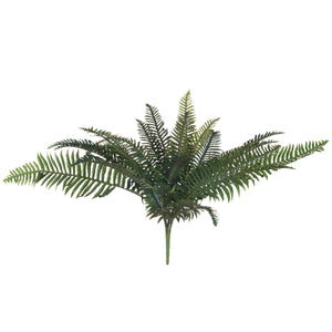 Fern Bunch_4819