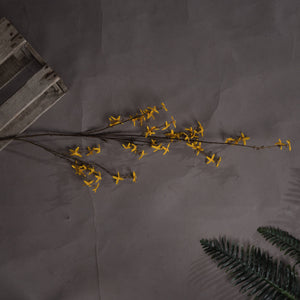 Forsythia_4827