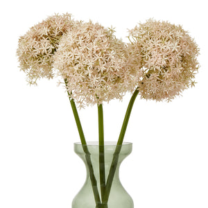 Giant Allium Stem_5389