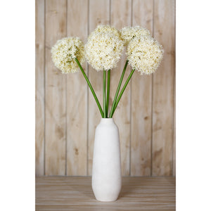 Giant Allium Stem_4632
