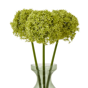 Giant Allium Stem_4905