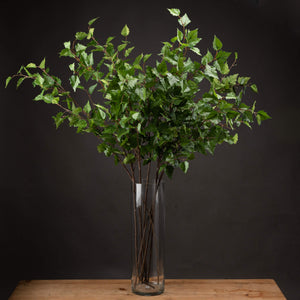 Green Branch Spray_4884