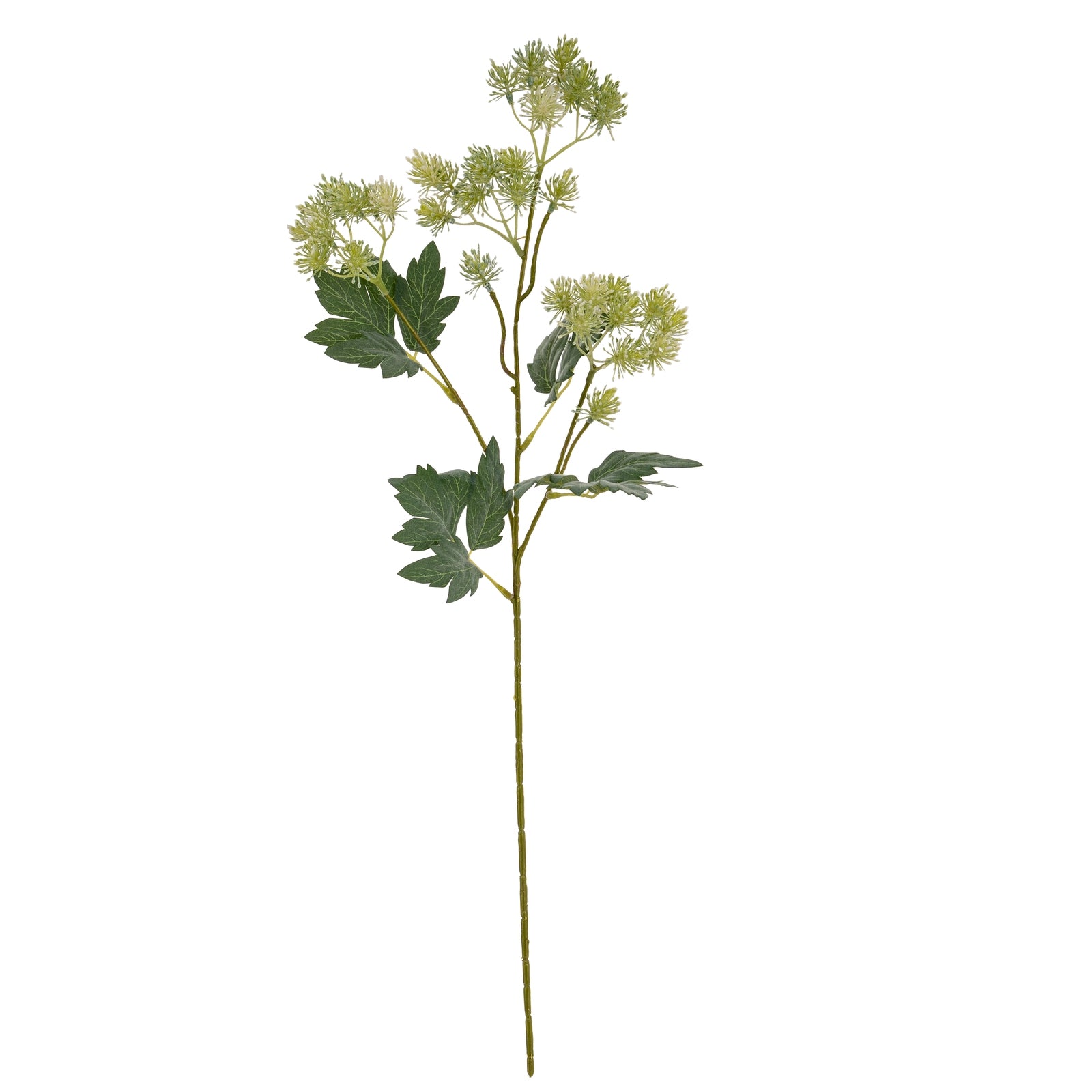 Green French Meadow Spray_4901