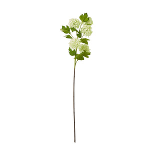 Green Snowball Viburnum Spray_4969