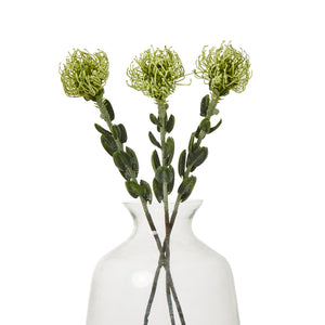 Green Pincushion Protea Spray_4939